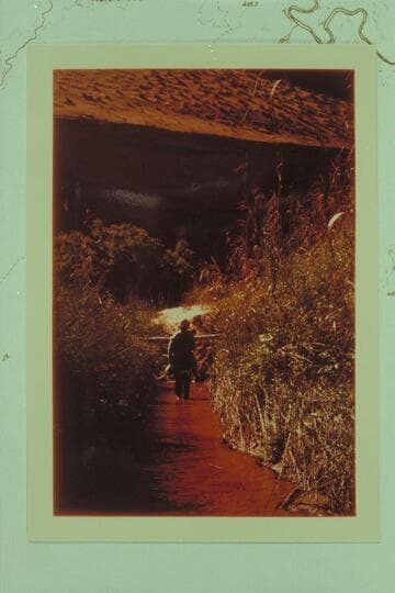 Eunice in Davis Canyon