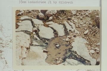 Seep in Grapevine Canyon