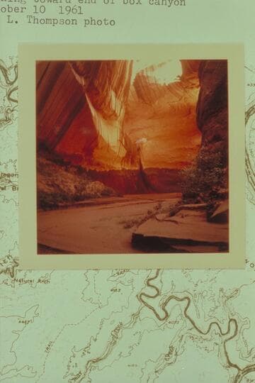 "Cathedral in the Desert", Clear Creek Canyon, Escalante River. Looking toward end of box canyon