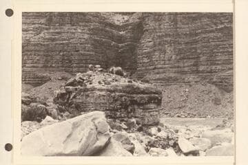 Stanton's Marble Pier, Marble Canyon; Mile 24 1/2