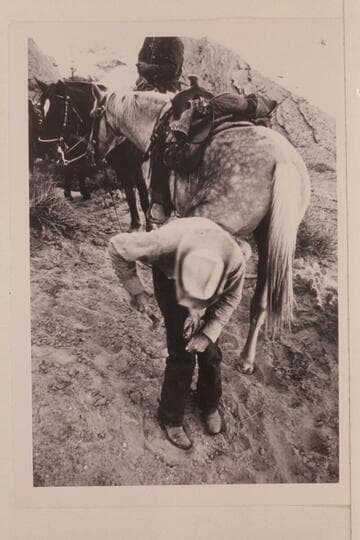 Tom shoes a horse on trail between Nasja Creek and Bald Rock Creek