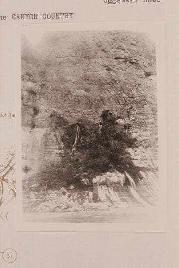 Springs at Vaseys Paradise