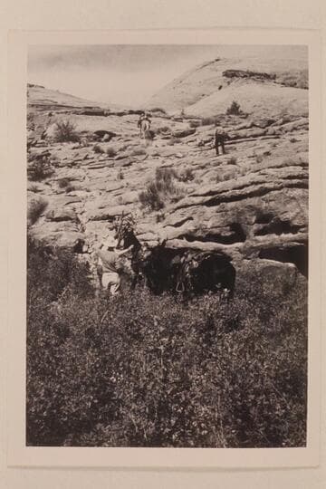 Trail out to west of Nasja Creek