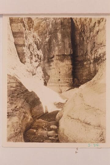 Paradise Canyon in Marble Canyon