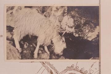 The best spring at Tappan Spring.  Supply 10 gallons in 65 seconds