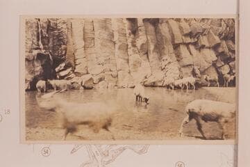 Tappan Spring.  Water supply for settlement at bridge across the Little Colorado.  Three miles southwest of the Bridge