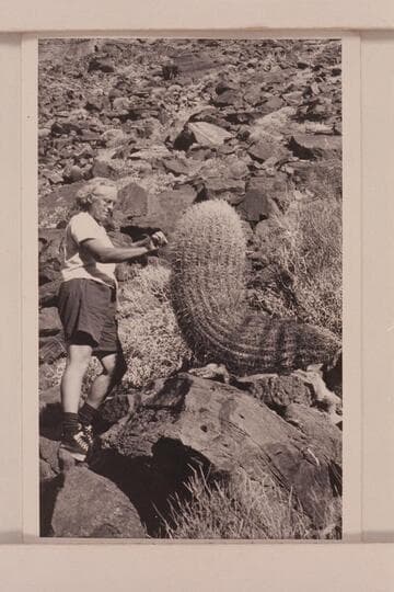 Louis M. Fetzner.  Grand Canyon near Nancoweap (?)