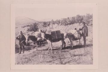 Arthur O. McCormick, left, and his brother, James, with their burro train on the trek from Denver to Seattle.  Taken between Kremmling and Eagle, Colorado.  Center burro carries photographic gear
