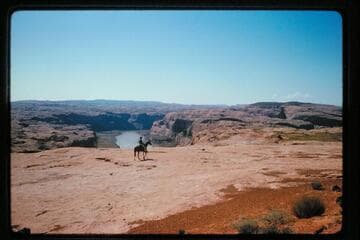Down Lake Powell from rim; Irontop Mesa; Mile 109.5