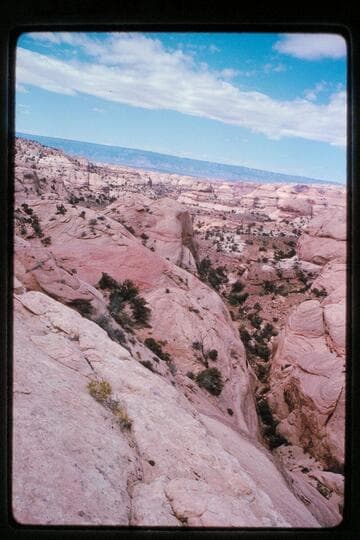 Possibly route down into fork Stevens from Waterpocket fold