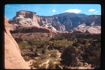 Up Surprise Valley from trail