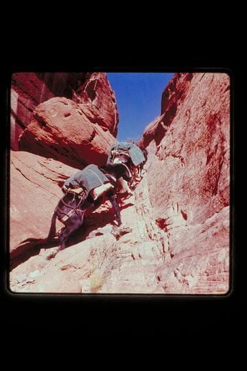 Trail between Bald Rock and Cha Canyons