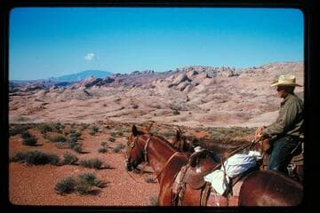 Waterpocket Fold and Navajo Mountain from Irontop Mesa
