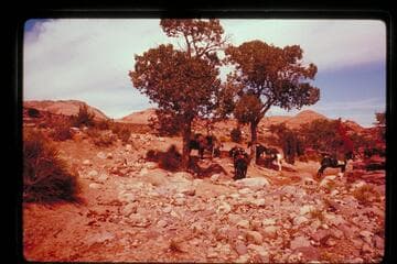 Lunch stop in Cha Canyon below Bridge Trail