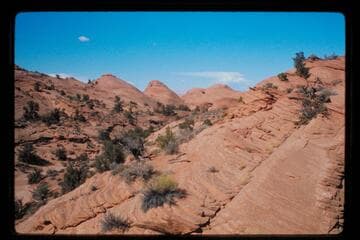 Between Bald Rock and Nasja Creek