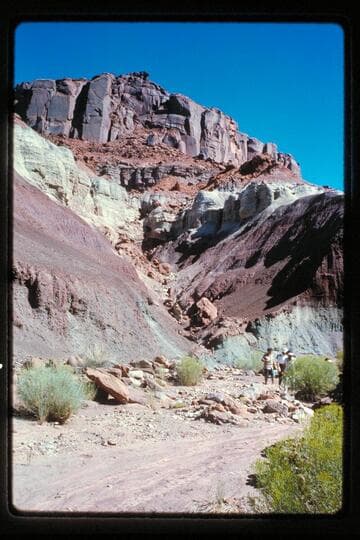 Mile 147.5, left bank