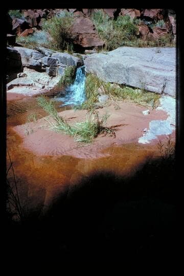 Fall in Wilson Canyon