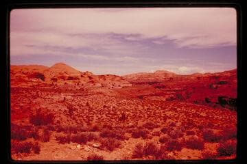 Northerly down Cha Canyon