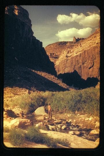 Up Tapeats C. from River