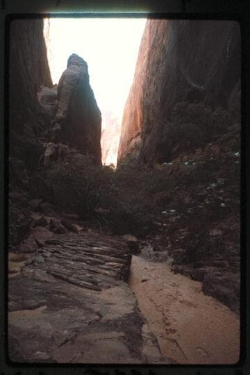 Up fault from near jet with 73.6