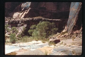 Junction of south fork - 73