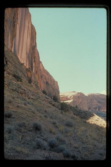 Tapestries along Cold River above Moab