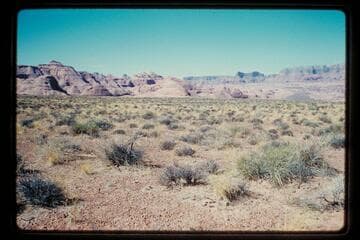Across Moepitz Airfield
