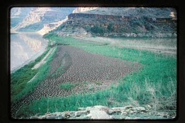 Mud flat at mouth of Scorpion Creek
