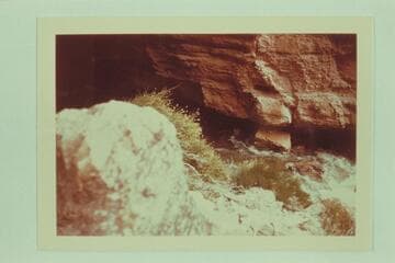 Stream from Tapeats Cave