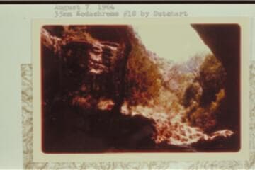 Greenery in Dragon-Tapeats section