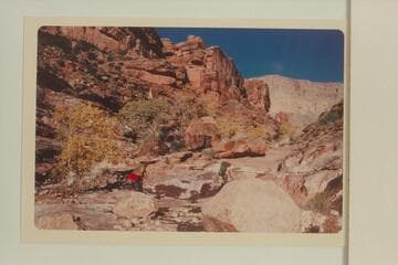 Jumpup Spring.  10 AM