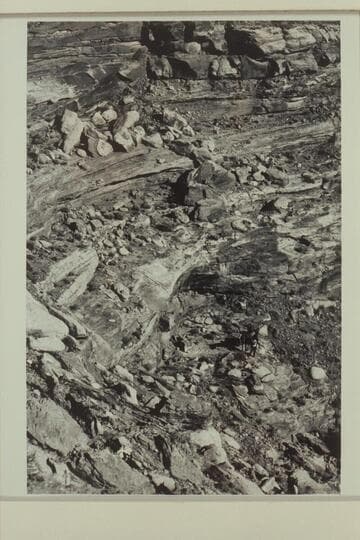 Horse on trail out of Horsethief Canyon