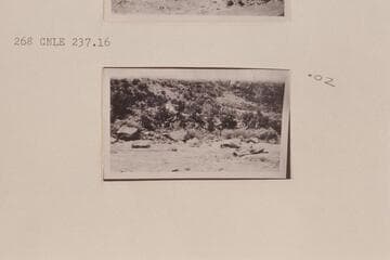 Todd-Page party at Upper Disaster Rapid