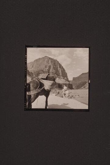 Ed leaving river on the Bundy horse and using hte pack kayaks for stirrups