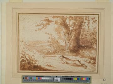 The Hare and the Tortoise