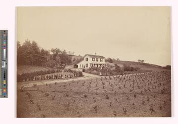 [N. C. Carter Home and Grounds, Pasadena, Los Angeles County]