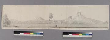 Bee or Beer Western side of Soda Springs