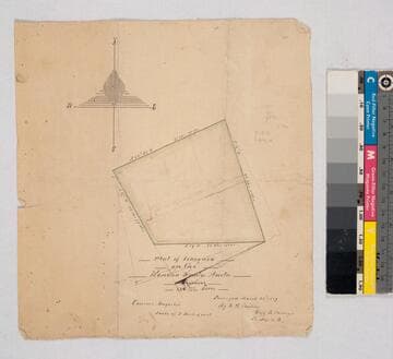 Plat of Vineyard on the Rancho Santa Anita