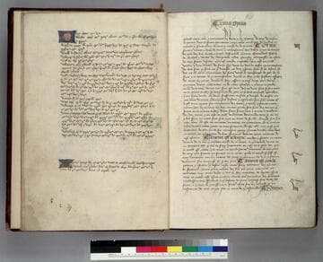 Statutes : [manuscript]