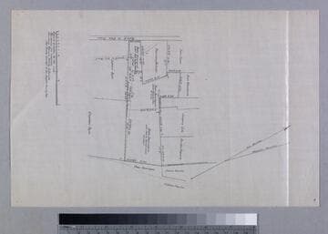 Dominguez Sotelo, Pedro