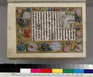 Book of Hours, use of Rome : [manuscript]