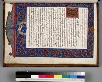 Eloquentię principis M. Tullii Ciceronis Ad Brutum Tusculanarum Quęstionum : [manuscript]