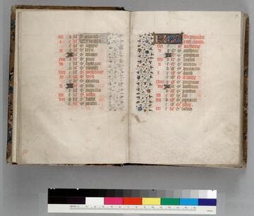 Book of hours, use of Paris[?] : [manuscript]