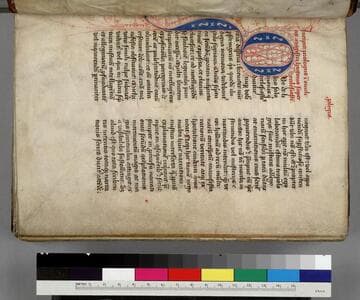 Homilies on Ecclesiastes : [manuscript]