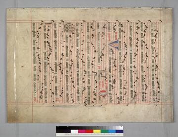 Fragment from a choir book : [manuscript]