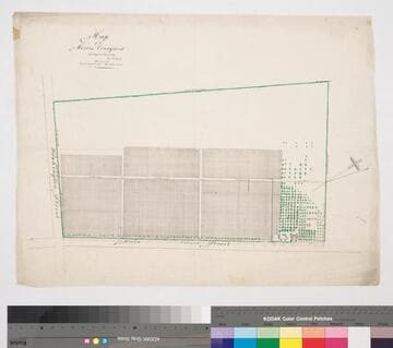 Map of the Morris Vineyard