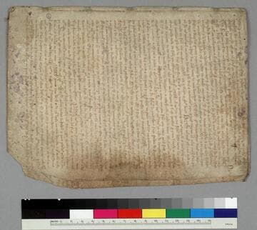 Fragment from a year book : [manuscript]