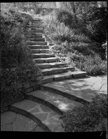 Landscaping in Dallas for Joseph E. Howland: English residence