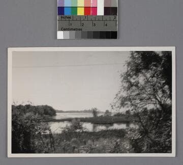 Shoreline of Spesutie Island, Maryland