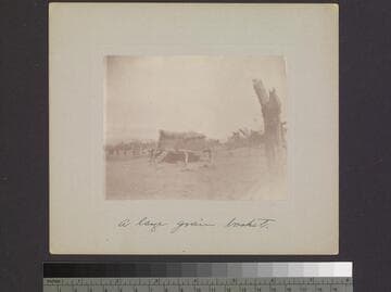 A large grain basket